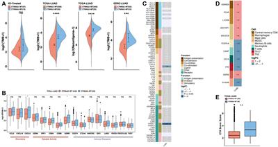 Catenin Alpha-2 Mutation Changes the Immune Microenvironment in Lung Adenocarcinoma Patients Receiving Immune Checkpoint Inhibitors